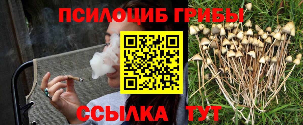Псилоцибиновые грибы Cubensis Кимовск